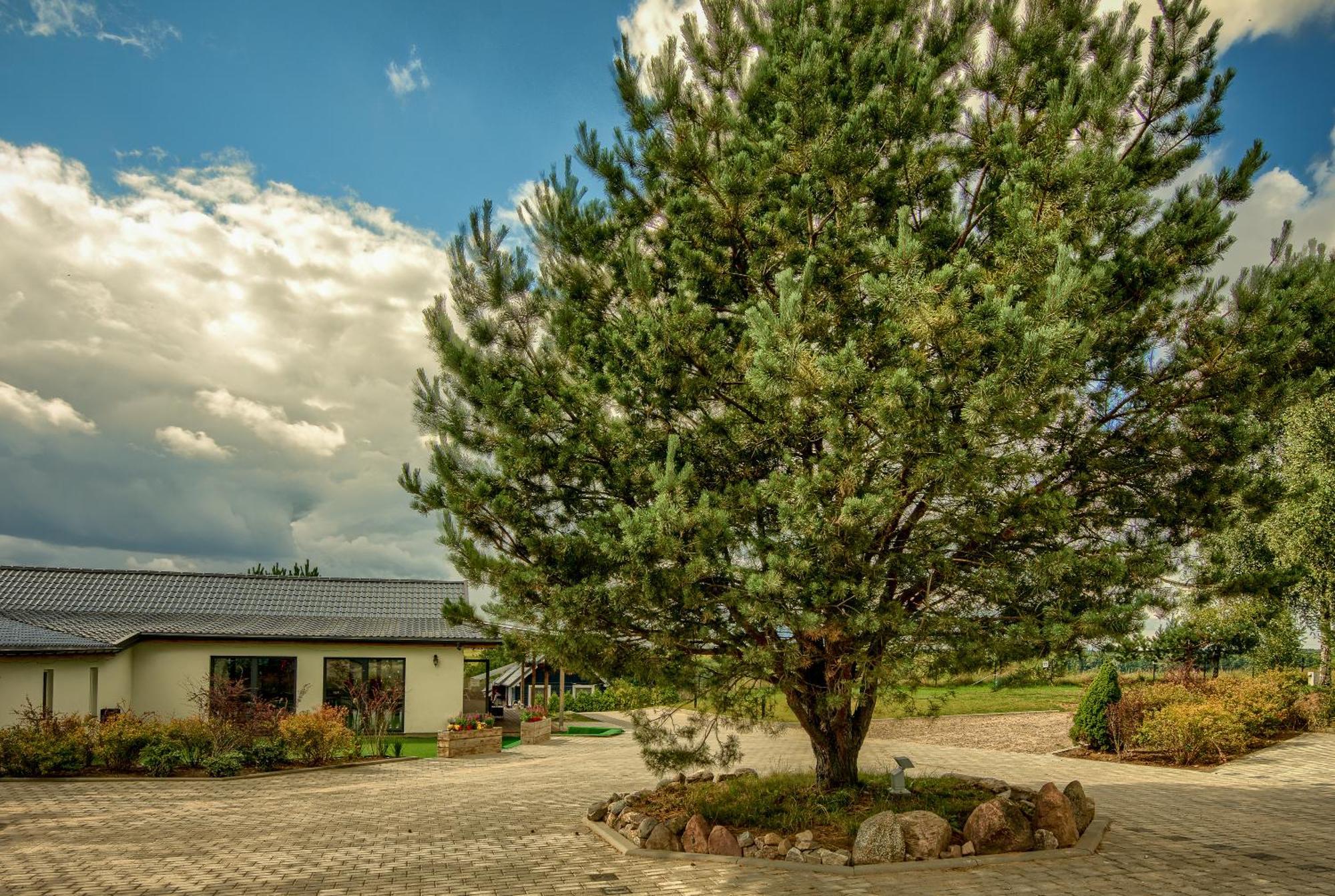 Pajda Mazur - Osrodek Wypoczynkowy Otel Stare Jabłonki Dış mekan fotoğraf